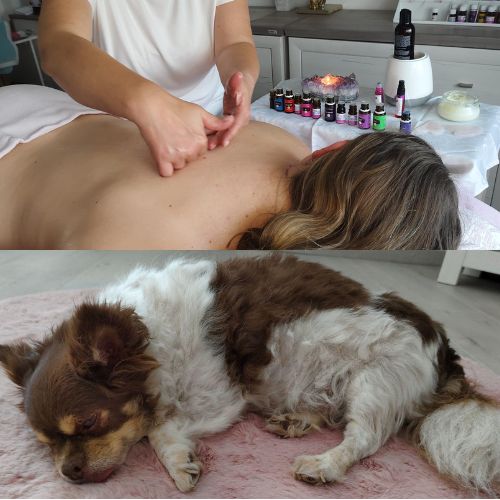 Anwendungen SeelenTropfen/ SeelenTröpfchen