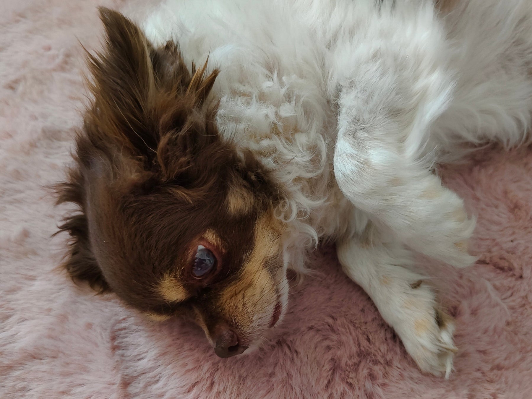 SeelenTröpfchen über die Ferne - Seelentropfen